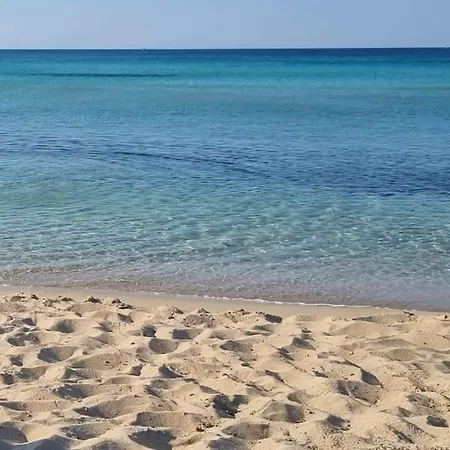 Lvm * San Vito dei Normanni