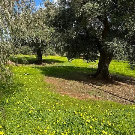 Villa Lvm