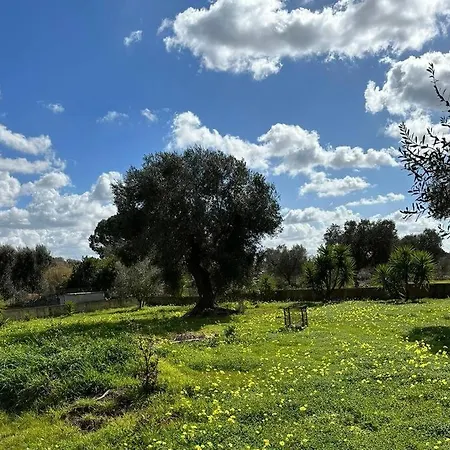 Villa Lvm