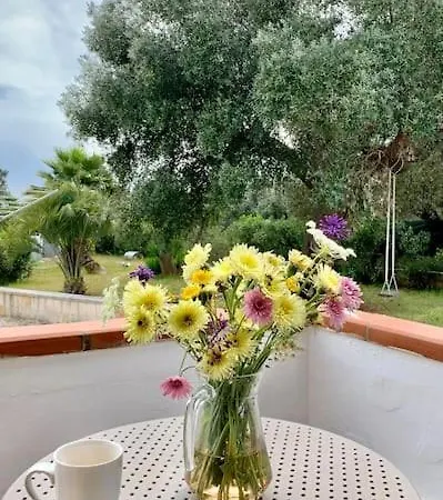 Lvm Villa *