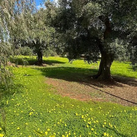 Lvm Villa